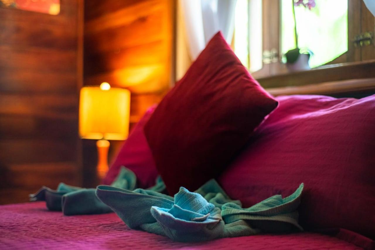Hotel Tierra Verde Bed And Breakfast بوكاس تاون المظهر الخارجي الصورة