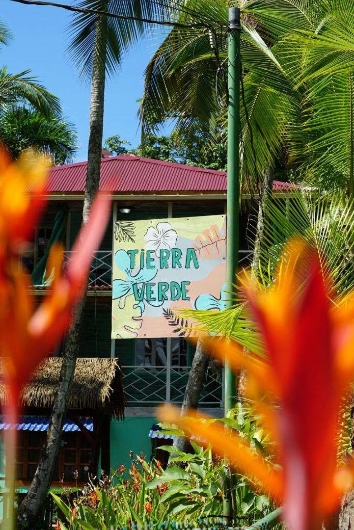 Hotel Tierra Verde Bed And Breakfast بوكاس تاون المظهر الخارجي الصورة